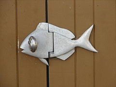 Fish Cupboard Door Catch by www.door-handles-knobs.co.uk
